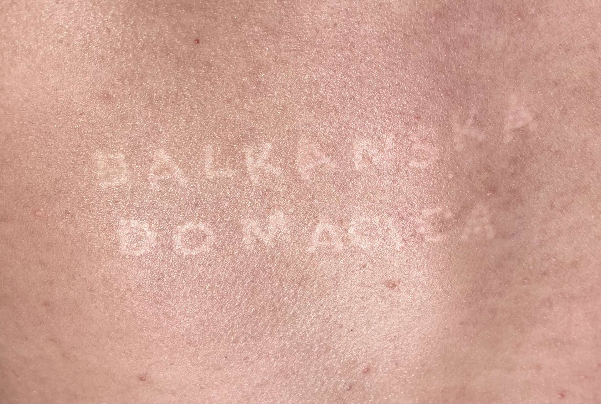 Godišnja izložba FLU