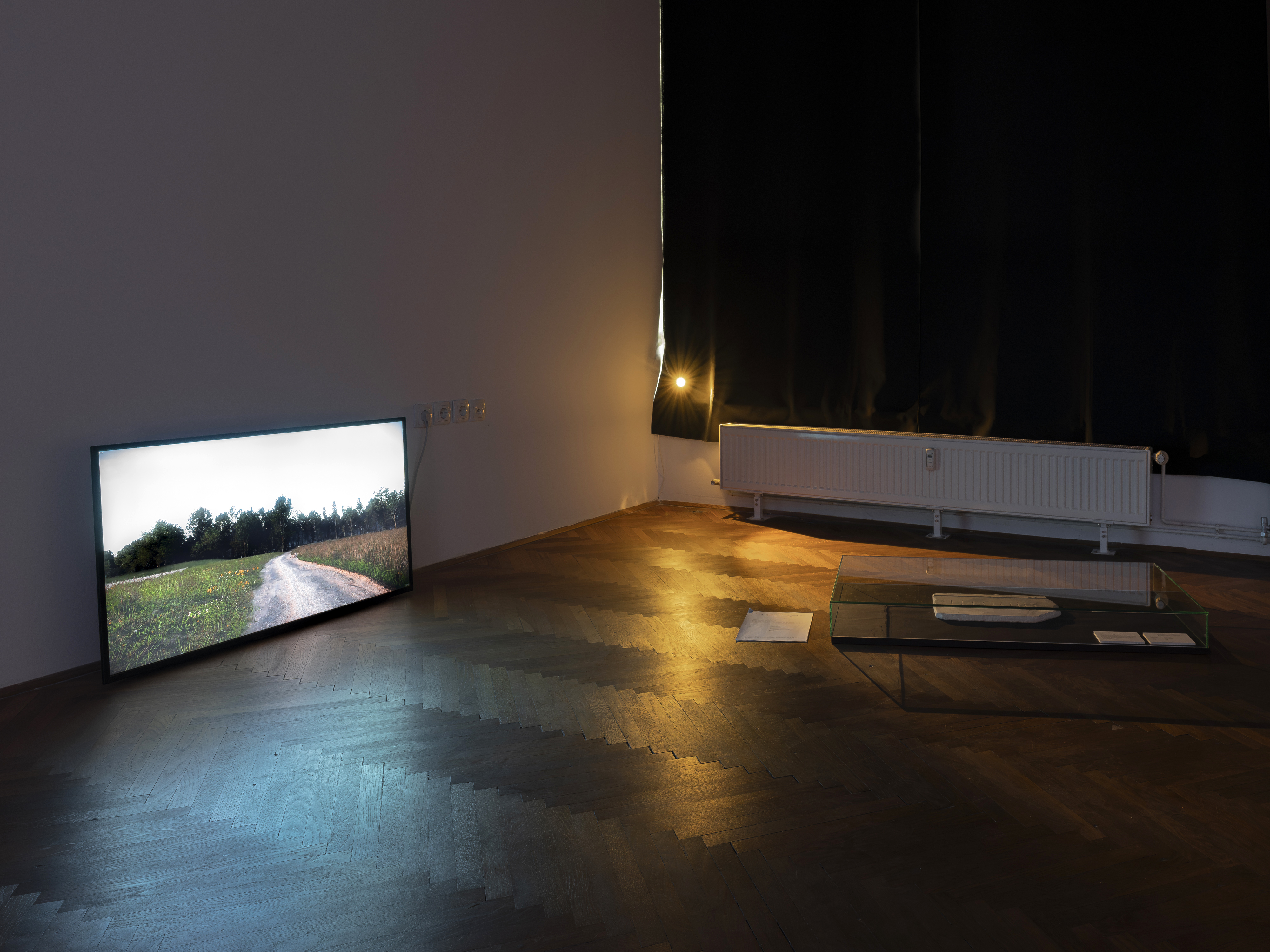 Maja Bojanić — Condition: Fair (Incomplete) – Museum Deliverance, 2024,